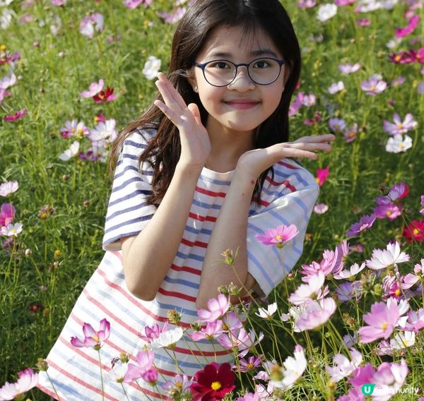 信芯園農莊｜夢幻粉色花海 🌸🌼 場內設有多個特色打卡位 📸