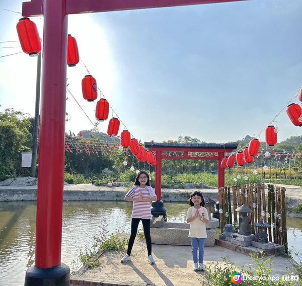 信芯園農莊｜夢幻粉色花海 🌸🌼 場內設有多個特色打卡位 📸