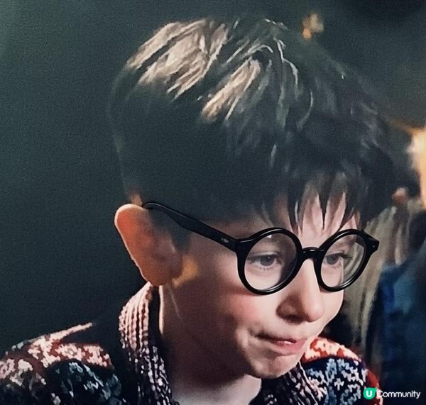 如果他是哈利