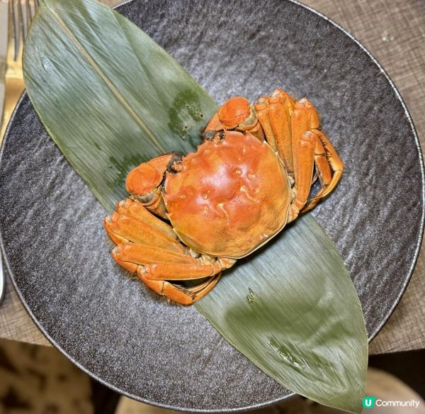 原個椰皇濃湯燉花膠