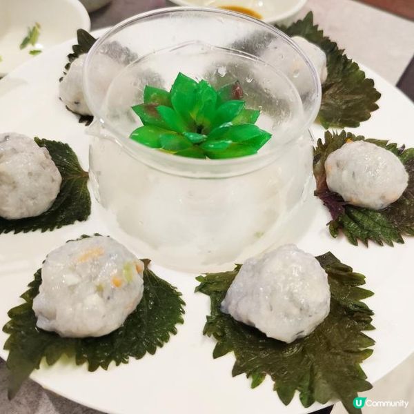 【仙氣雲南石窩魚】深圳探店