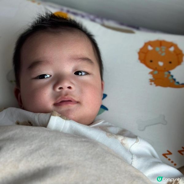 《荷花BB 展優惠》大家記得save住呢個post‼️