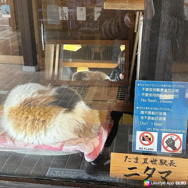 去和歌山探吓貓駅長