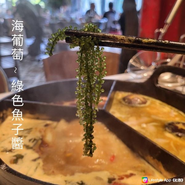 深圳美食 ︳泰式海鮮火鍋