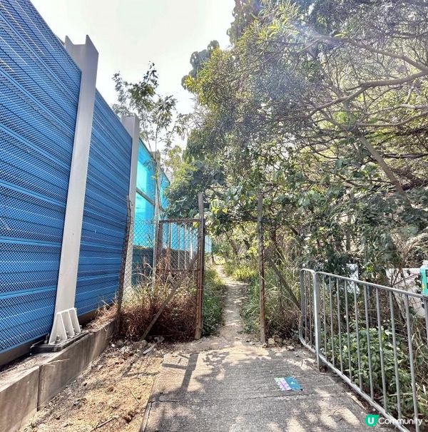 青衣「春花落」細山遠足｜超廣角美景打卡位｜2.5小時多元化路況：崎嶇山路、水泥平路、石級⋯ ⋯