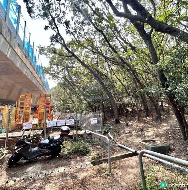 青衣「春花落」細山遠足｜超廣角美景打卡位｜2.5小時多元化路況：崎嶇山路、水泥平路、石級⋯ ⋯