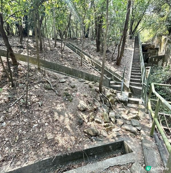 青衣「春花落」細山遠足｜超廣角美景打卡位｜2.5小時多元化路況：崎嶇山路、水泥平路、石級⋯ ⋯