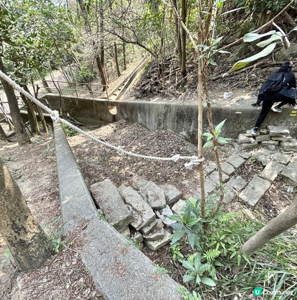 青衣「春花落」細山遠足｜超廣角美景打卡位｜2.5小時多元化路況：崎嶇山路、水泥平路、石級⋯ ⋯