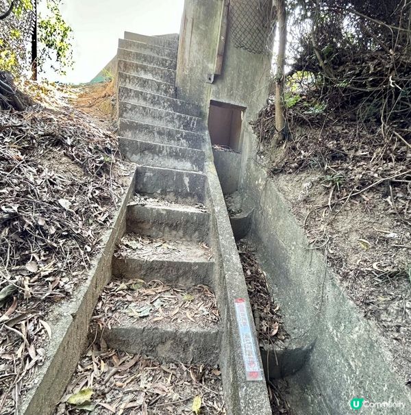 青衣「春花落」細山遠足｜超廣角美景打卡位｜2.5小時多元化路況：崎嶇山路、水泥平路、石級⋯ ⋯