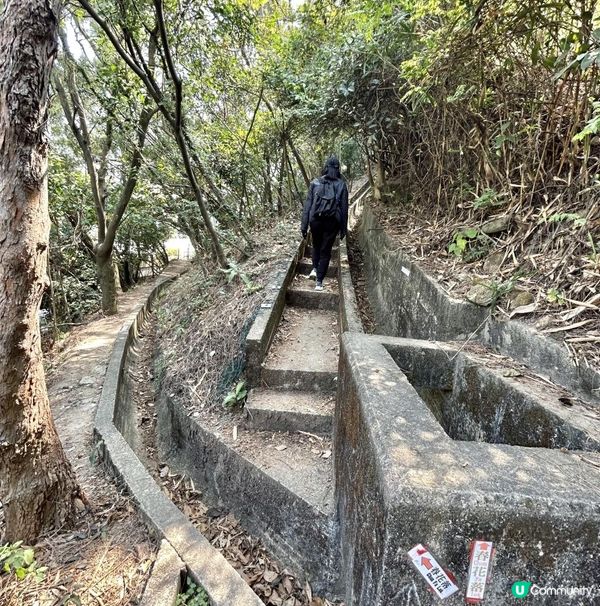 青衣「春花落」細山遠足｜超廣角美景打卡位｜2.5小時多元化路況：崎嶇山路、水泥平路、石級⋯ ⋯