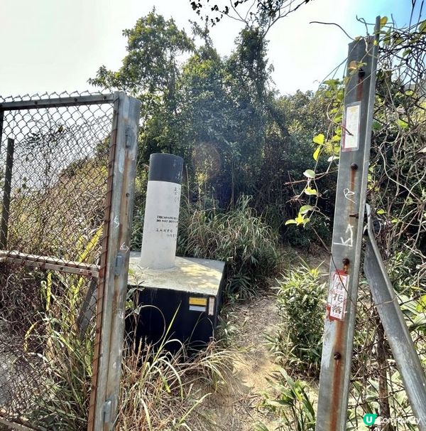 青衣「春花落」細山遠足｜超廣角美景打卡位｜2.5小時多元化路況：崎嶇山路、水泥平路、石級⋯ ⋯