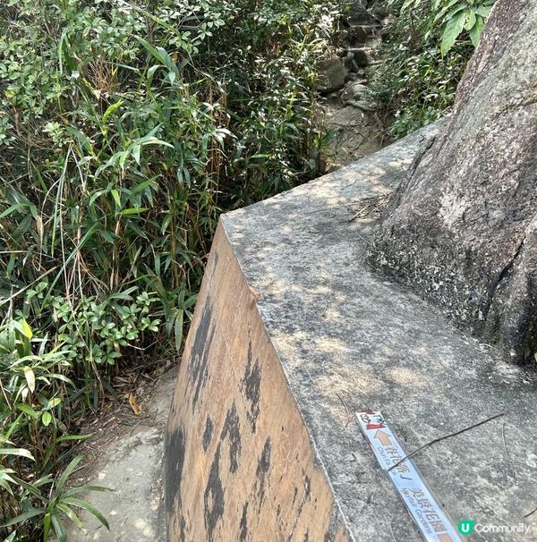 青衣「春花落」細山遠足｜超廣角美景打卡位｜2.5小時多元化路況：崎嶇山路、水泥平路、石級⋯ ⋯