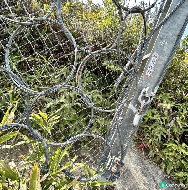 青衣「春花落」細山遠足｜超廣角美景打卡位｜2.5小時多元化路況：崎嶇山路、水泥平路、石級⋯ ⋯