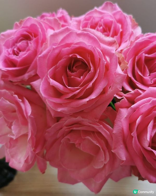 晴天 陰天 雨天