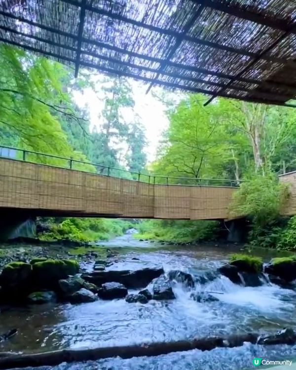 🇯🇵京都貴船神社⛩️川床料理全攻略