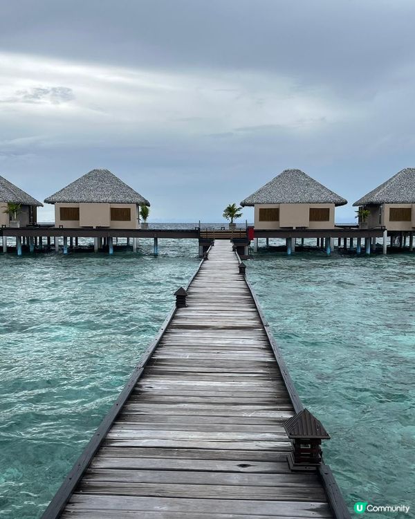 #打卡美食#全新景點