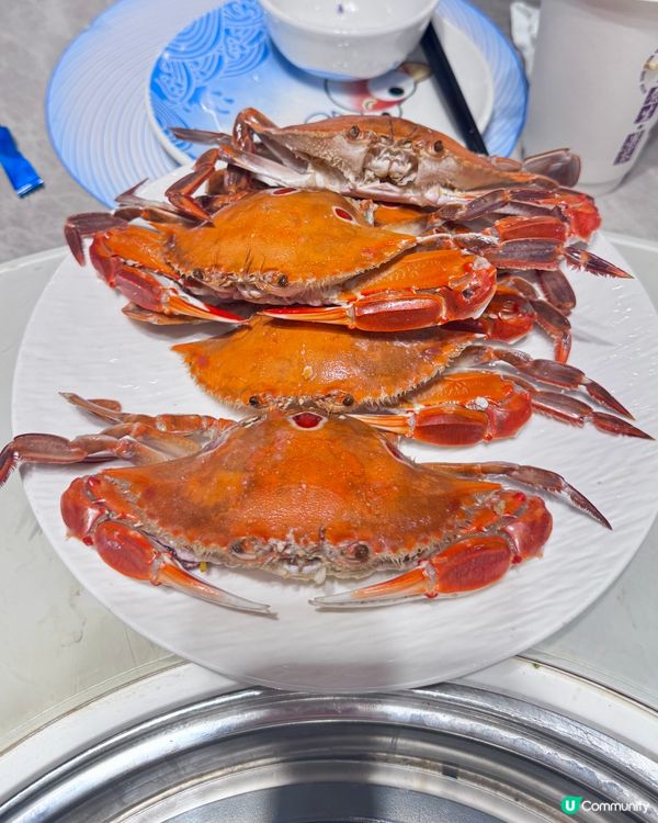 旺角家嫂放題🤩任食雞煲海鮮🤤🤤🤤