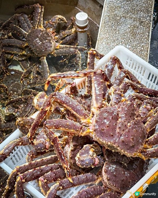 深圳海鮮寶藏 🦀️ 地鐵口旁，帝王蟹自由！