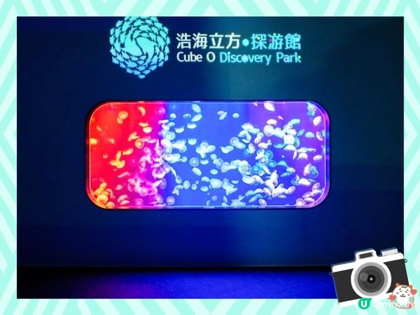 荃灣浩海立方探游館🌊  打卡必去！🤩