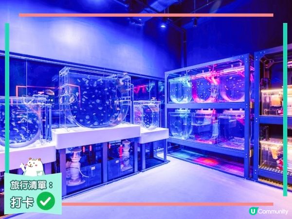 荃灣浩海立方探游館🌊  打卡必去！🤩