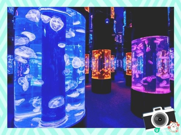 荃灣浩海立方探游館🌊  打卡必去！🤩