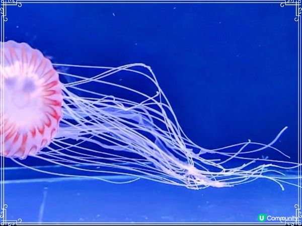 荃灣浩海立方探游館🌊  打卡必去！🤩