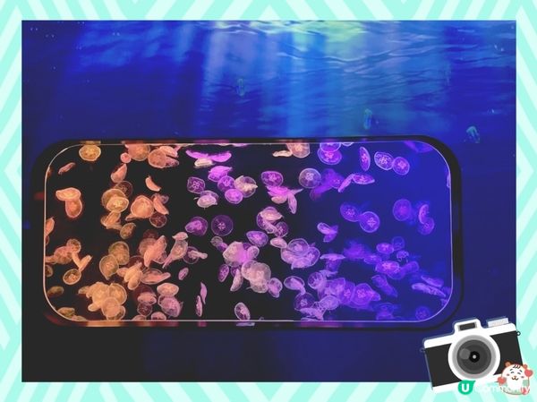 荃灣浩海立方探游館🌊  打卡必去！🤩