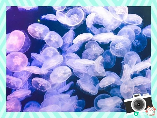 荃灣浩海立方探游館🌊  打卡必去！🤩