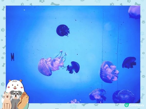 荃灣浩海立方探游館🌊  打卡必去！🤩