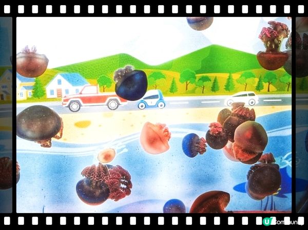 荃灣浩海立方探游館🌊  打卡必去！🤩