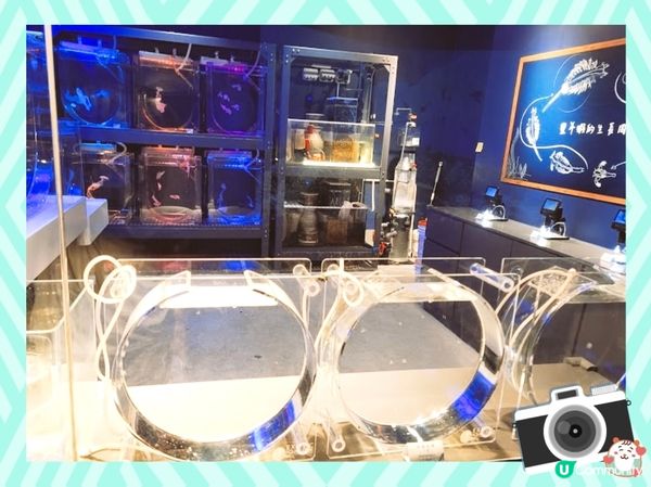 荃灣浩海立方探游館🌊  打卡必去！🤩