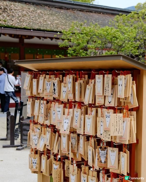 🇯🇵太宰府天滿宮超詳盡攻略及美食分享😍