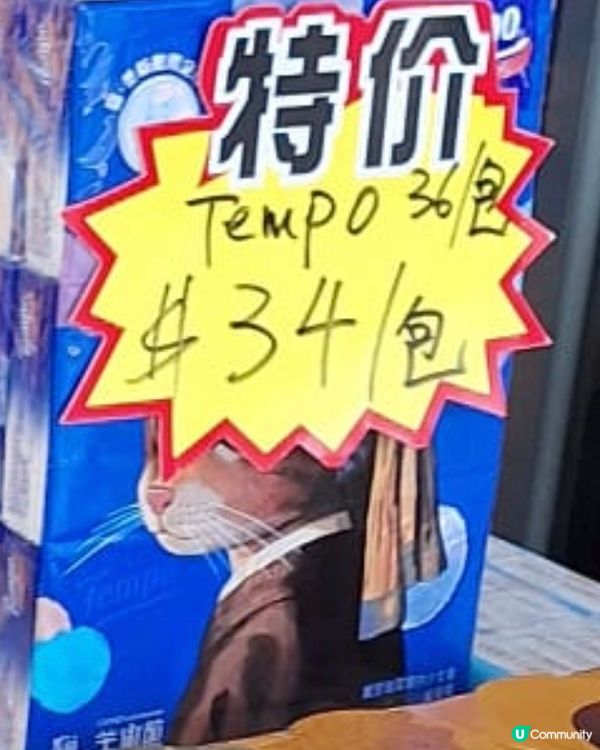 被轟炸的喵