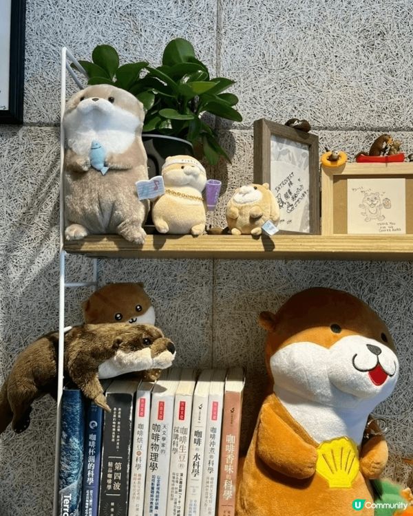 原宿水獺Cafe🌊 療癒又得意！✨