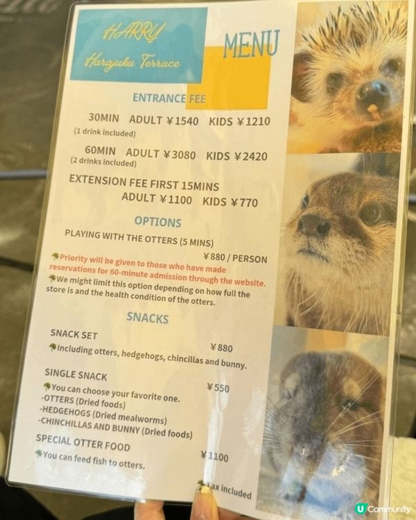 原宿水獺Cafe🌊 療癒又得意！✨