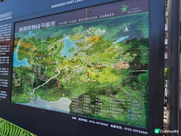 深圳仙湖植物園
