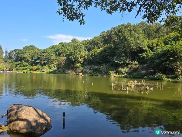 深圳仙湖植物園