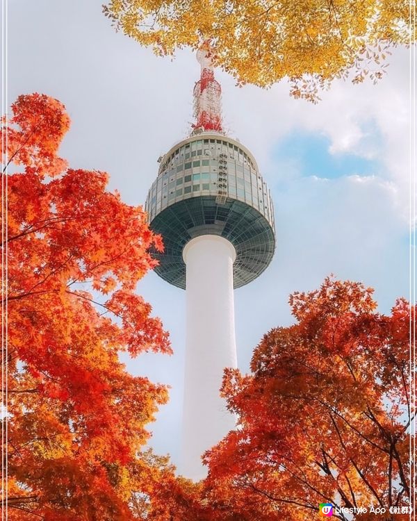 首爾🍁南山白凡公園｜秋天必到景點｜照顧心靈健康