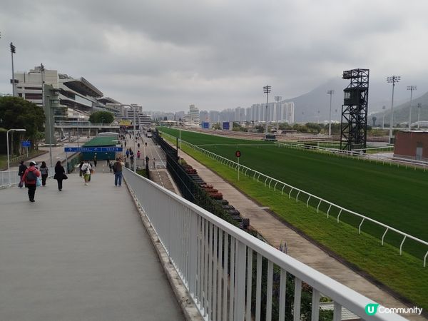 MC張天賦, 2026沙田馬場寶馬打吡大賽開幕表演嘉賓