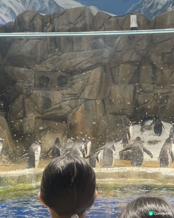 久違的海洋公園一日遊