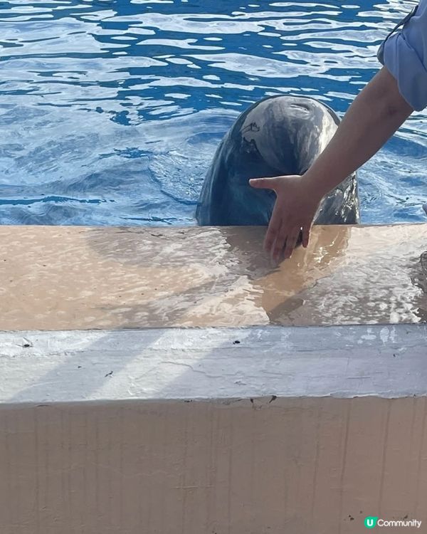 久違的海洋公園一日遊