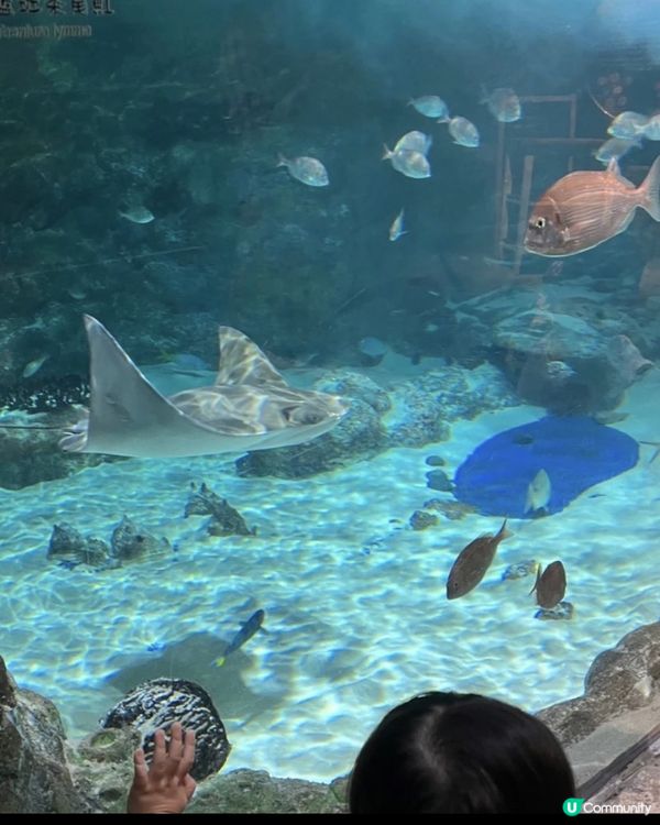 久違的海洋公園一日遊