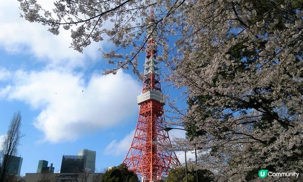 千鳥淵、飯田橋外濠公園、目黑川、還有……東京賞櫻勝地、私房景點7選