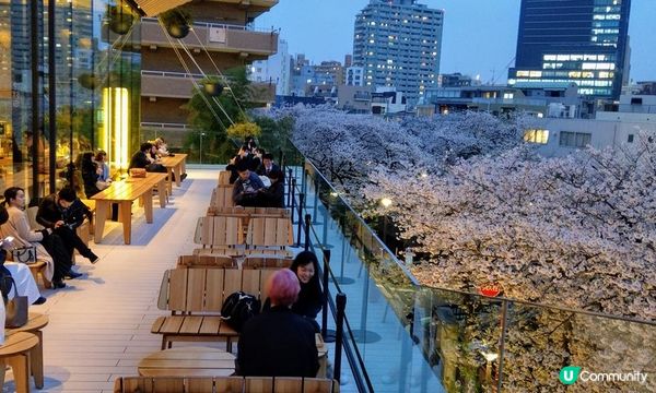 千鳥淵、飯田橋外濠公園、目黑川、還有……東京賞櫻勝地、私房景點7選