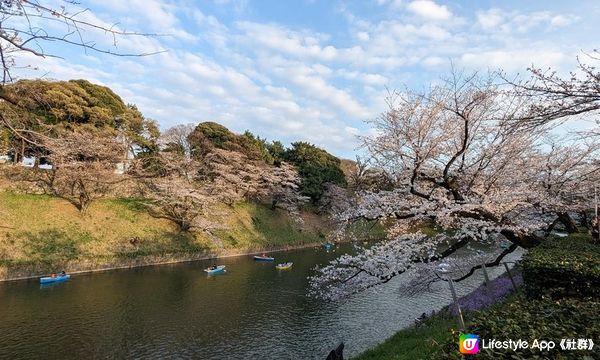 千鳥淵、飯田橋外濠公園、目黑川、還有……東京賞櫻勝地、私房景點7選