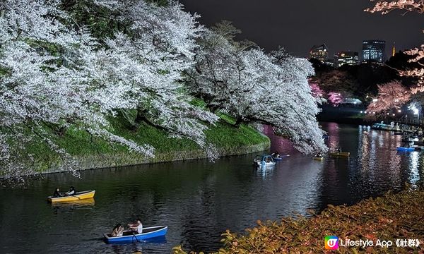 千鳥淵、飯田橋外濠公園、目黑川、還有……東京賞櫻勝地、私房景點7選