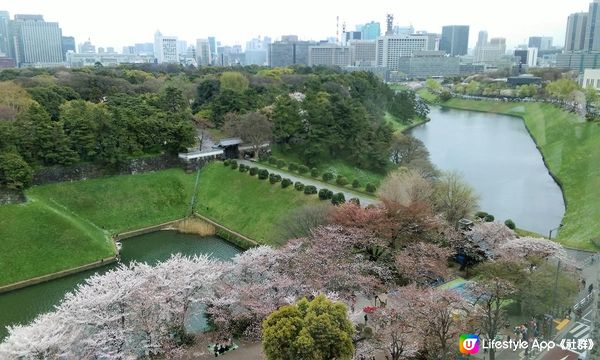 千鳥淵、飯田橋外濠公園、目黑川、還有……東京賞櫻勝地、私房景點7選