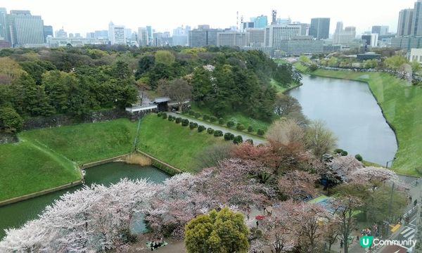 千鳥淵、飯田橋外濠公園、目黑川、還有……東京賞櫻勝地、私房景點7選