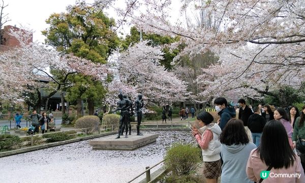 千鳥淵、飯田橋外濠公園、目黑川、還有……東京賞櫻勝地、私房景點7選