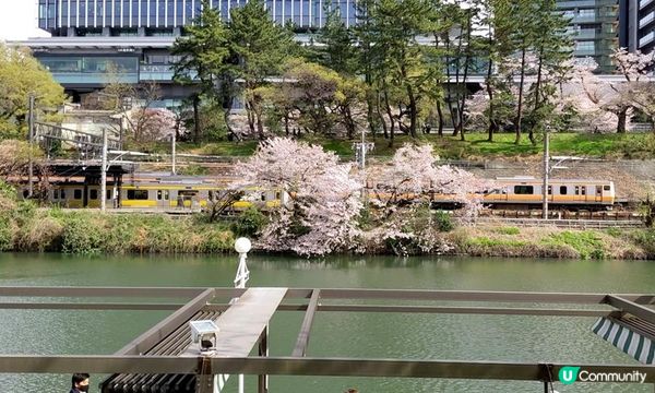 千鳥淵、飯田橋外濠公園、目黑川、還有……東京賞櫻勝地、私房景點7選